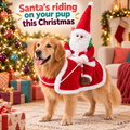Santa's Sleigh Ride Dog Costume — product photo 1 of 9